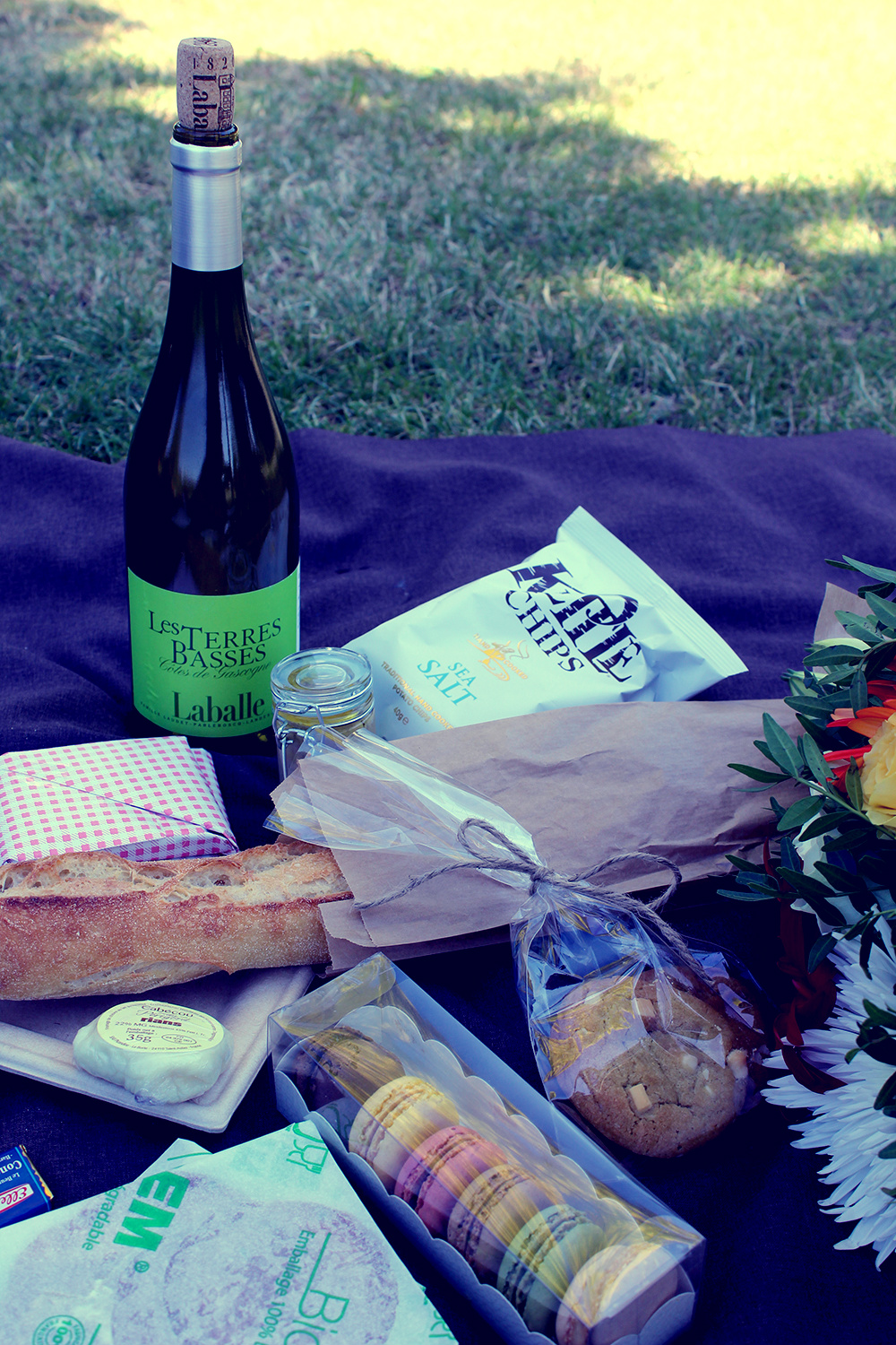 picnic6